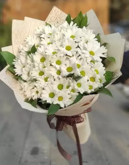 Papatya/Gerbera
